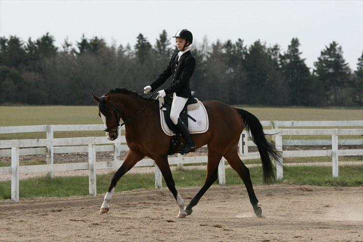 Anden særlig race Sunrice låne pony{B-Pony} billede 12