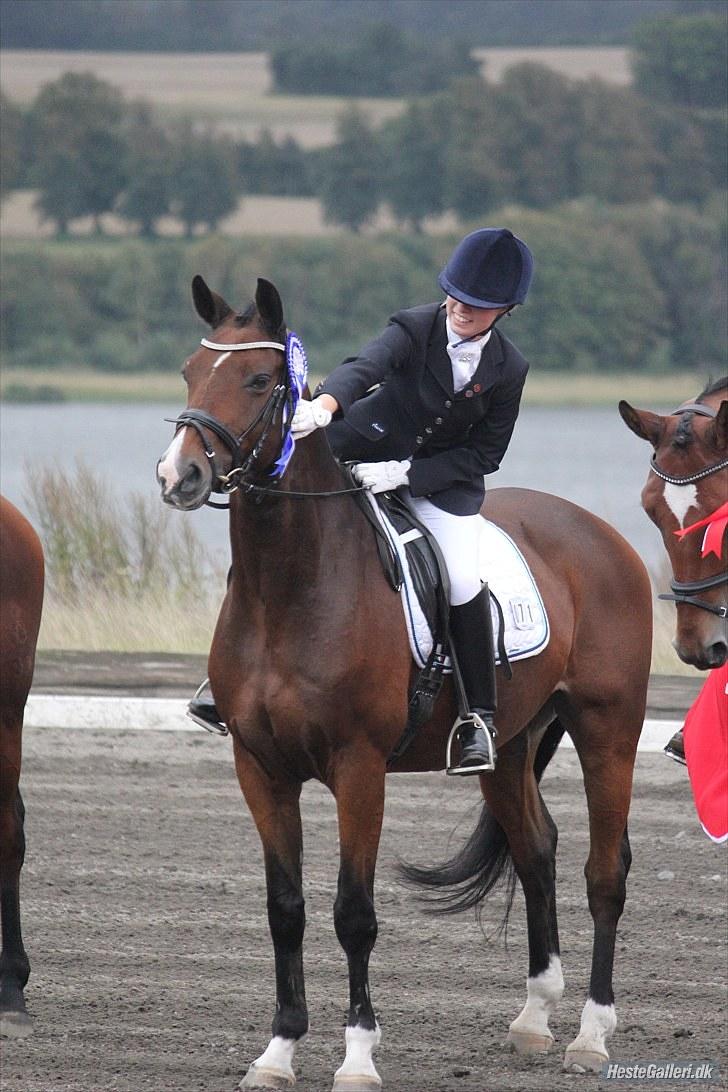 Dansk Varmblod May Landuc - Årslavgaarden 2010  billede 6