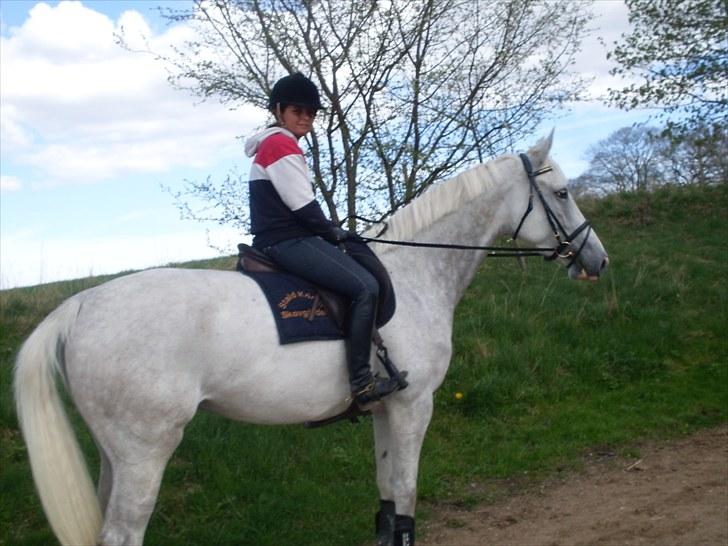 Tysk Oldenburger Certina   - første tur ud :D  billede 9