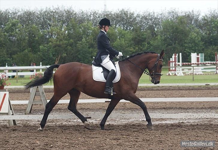 Oldenborg Fleur (Olga) - championat 2010 i Aalestrup billede 5