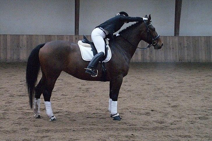 Oldenborg Fleur (Olga) - DYGTIG hest .. C-stævne i Arden 20.marts 2011 billede 12