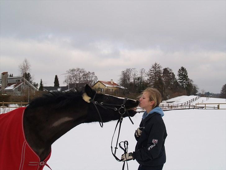 Anden særlig race Black Beauty  - Elsker dig sorte<3 ;P (fotograf: jose!<3) billede 15