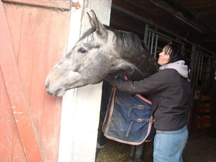 Fuldblod (XX) Kozlak XX RIP billede 16