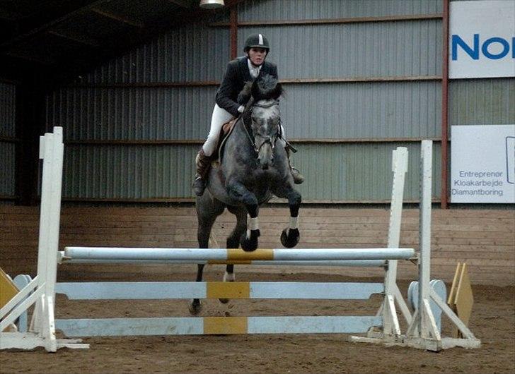 Fuldblod (XX) Kozlak XX RIP billede 17