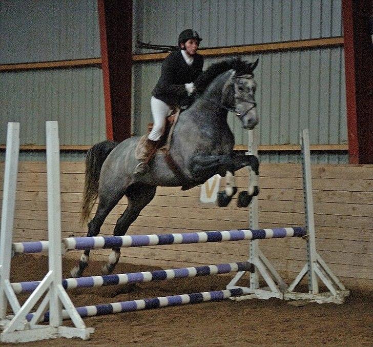 Fuldblod (XX) Kozlak XX RIP billede 18