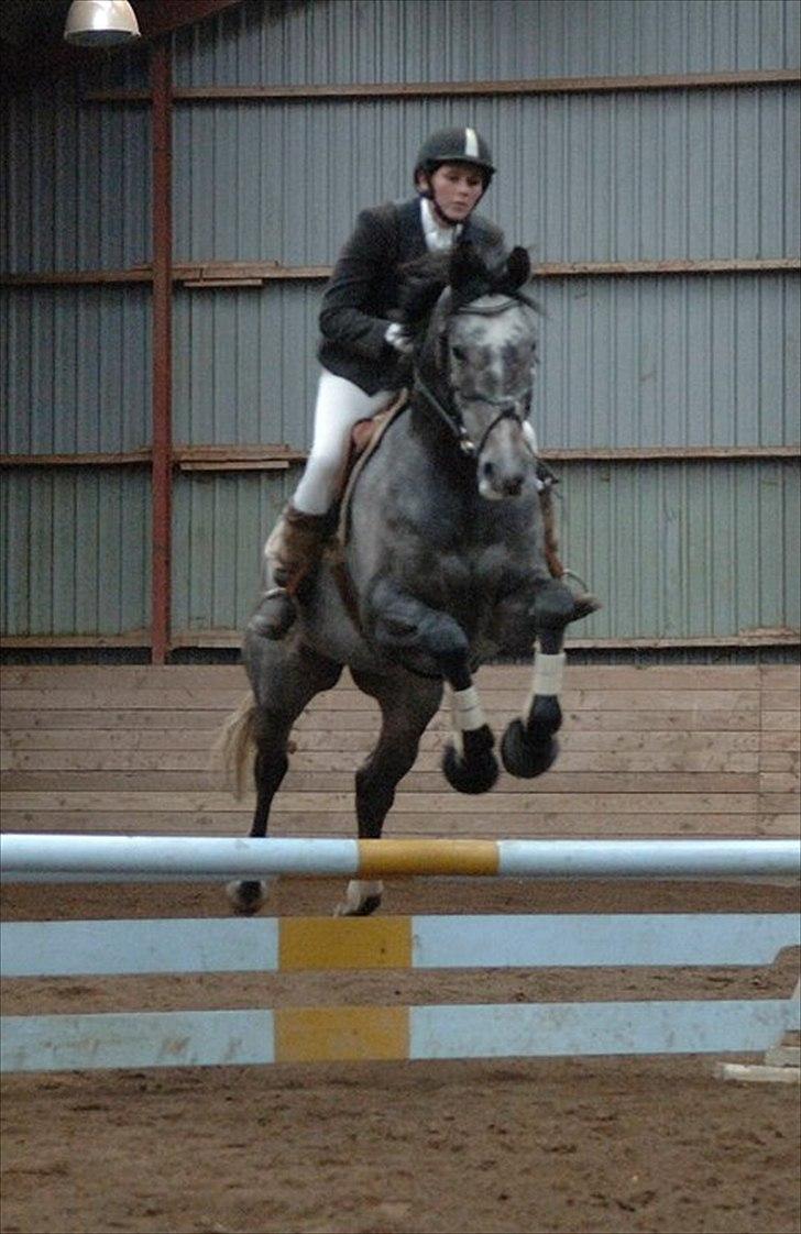 Fuldblod (XX) Kozlak XX RIP billede 19