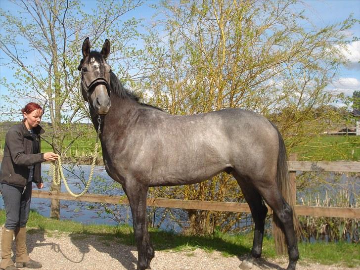 Fuldblod (XX) Kozlak XX RIP billede 20