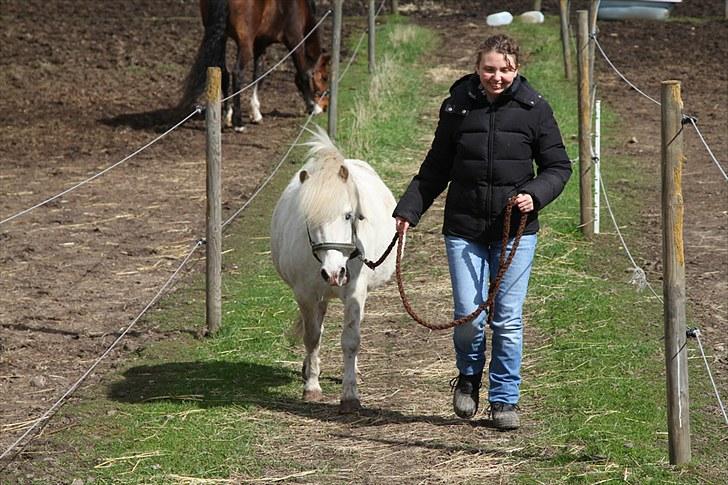 Anden særlig race Lucas - Glad lille ponze :-) billede 8