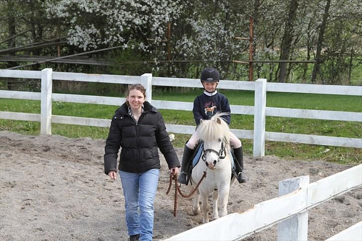 Anden særlig race Lucas billede 9