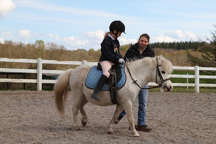 Anden særlig race Lucas billede 10