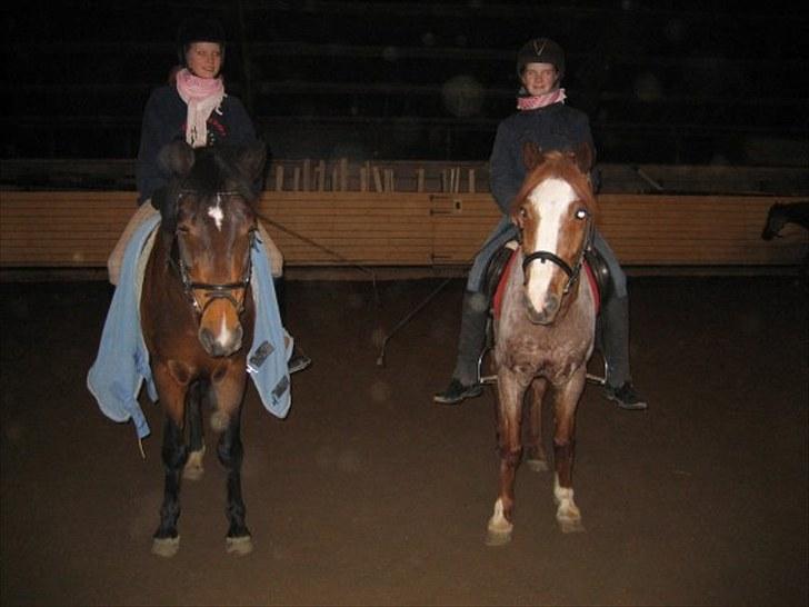 Anden særlig race Dundee - Red - Mig og gunilla med hestene :)  billede 18