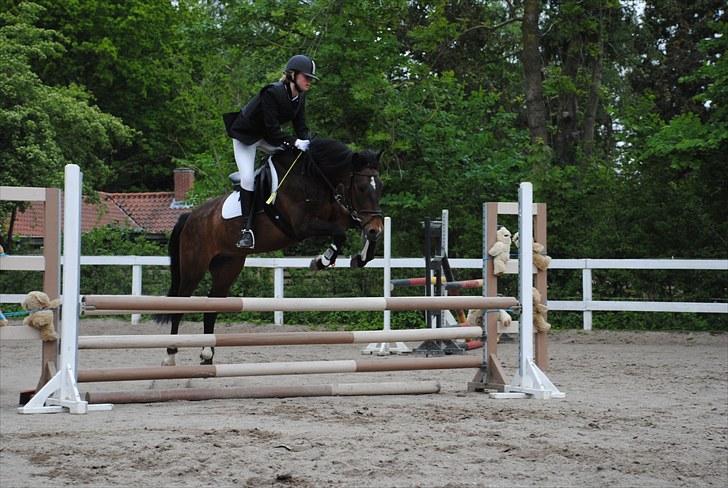 Anden særlig race Dundee - Red - springstævne med Signe på ryggen (: | Foto: Mig billede 19