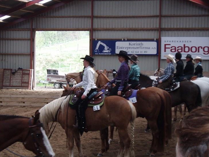 Haflinger SternPrinz - DWF Springbreak show i Korinth billede 18