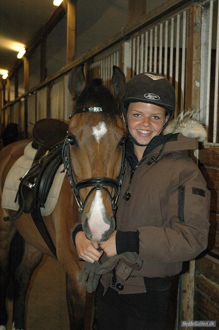 New Forest Rex <3 billede 6