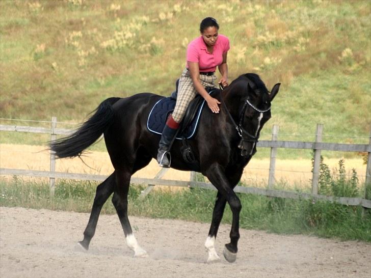 Anden særlig race Noir Rêver *himmelhest* - 23.07.2010 billede 17
