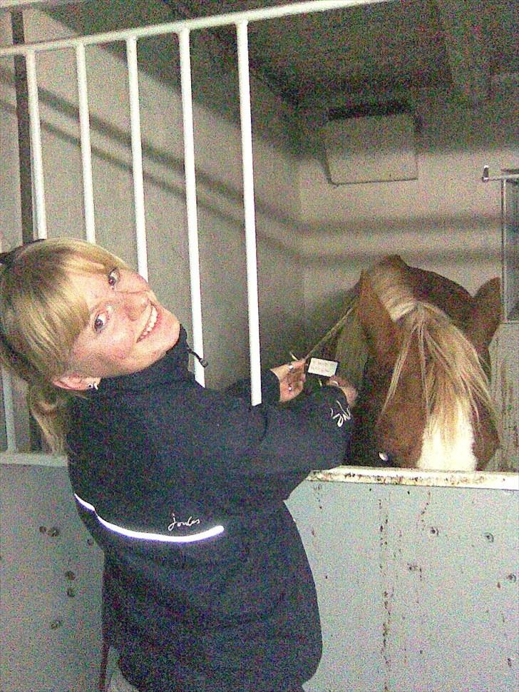 Dansk Varmblod Deimi - DA jeg fik hende i julegave - 24. dec. 2009 :D billede 2