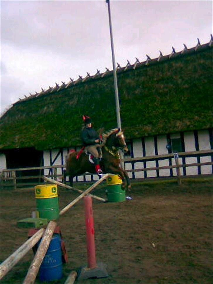 Anden særlig race Frankie Boy - Med vores veninde Steph til kostume springning udklædt som djævle;) billede 11