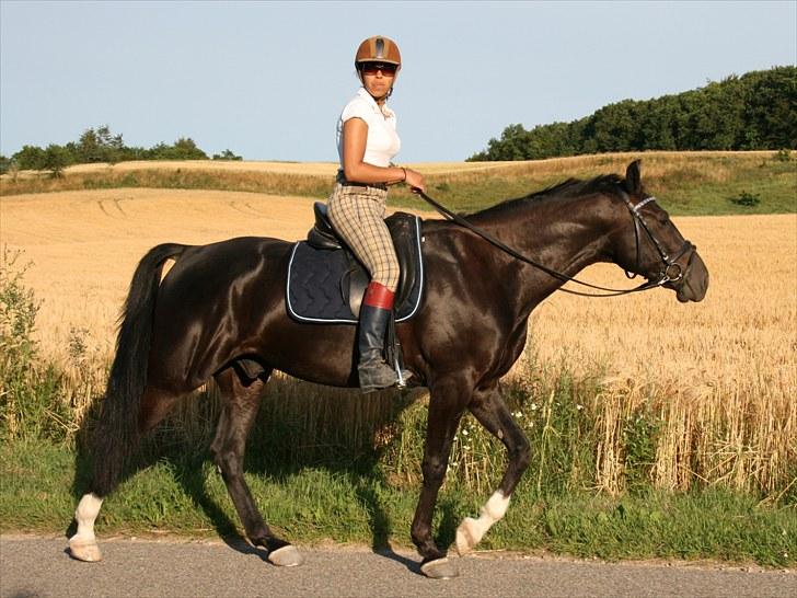 Anden særlig race Noir Rêver *himmelhest* - 24.07.2010 billede 16