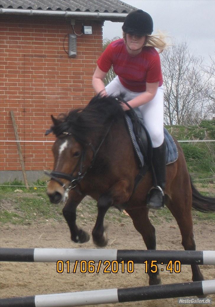 Anden særlig race FIONA billede 9