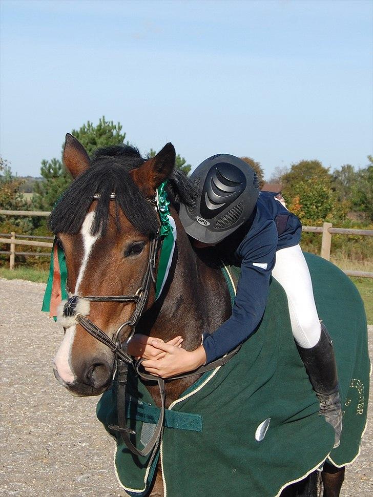 New Forest Kærgaardens Chopin B-PONY (solgt) - Fordi du betyder alt for mig ! <3. billede 10