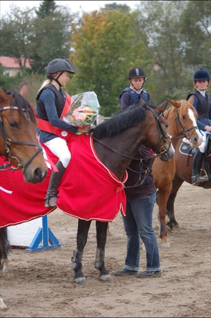 New Forest Kærgaardens Chopin B-PONY (solgt) - Vinder af Distriktmesterskab for hold 2010 ;*) billede 12