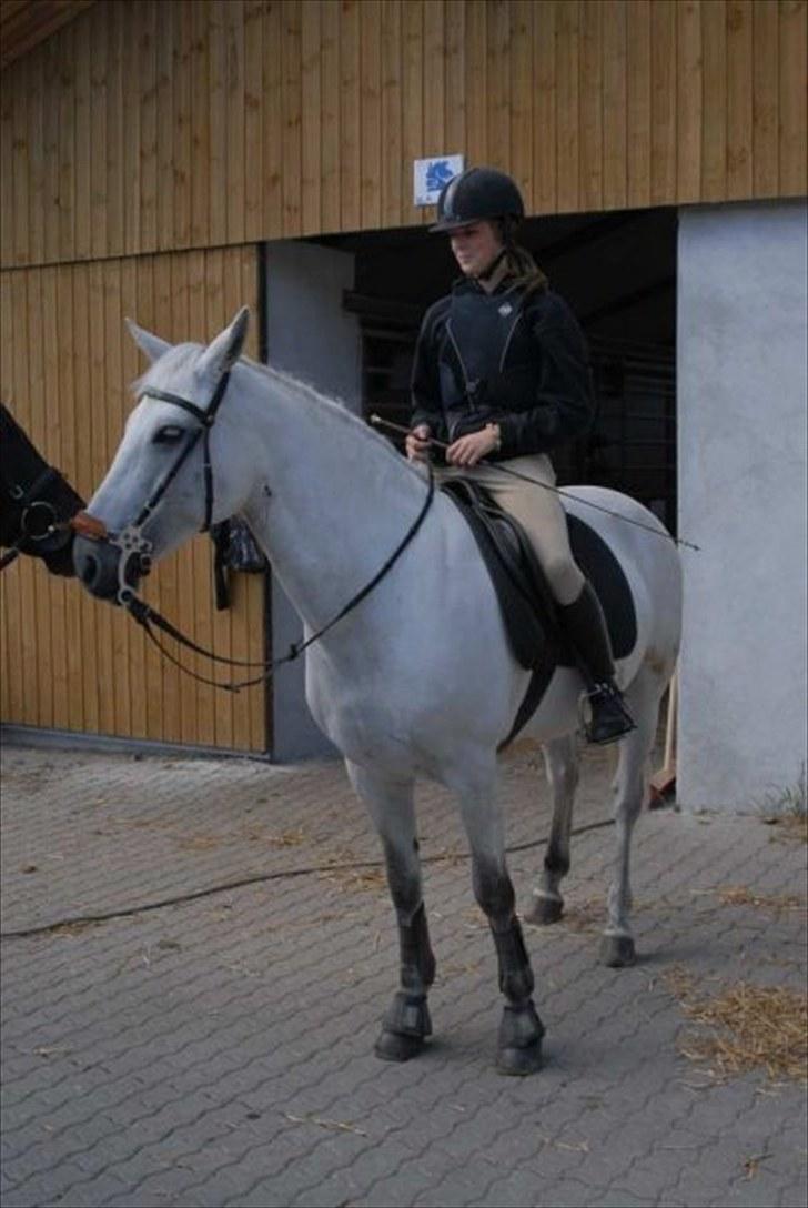 Connemara Dangan Bluebell. (Himmelhest) - Mig og min dejlige pony blyb (som jeg kalder hende)  billede 10