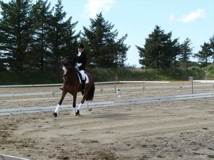 Dansk Varmblod Diva - Afrika og jeg til vores aller første stævne, hvilket resulterede i en 1. plads i gangartsklassen :-)  billede 3