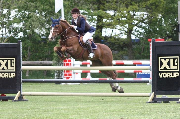 Hollandsk Sportspony Jetse! (: <3 - L/M-championat (DM - agtig) i springning for pony på Kallehavegaard 2010 - på banen(: billede 8