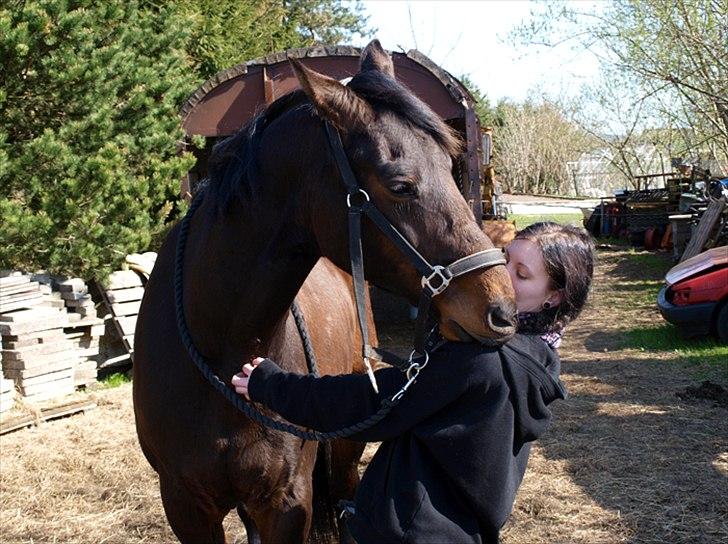 Dansk Varmblod Kananka skovgaard - 18.04.11 Lidt nusse nus :b  Foto: Kæresten <3 billede 18