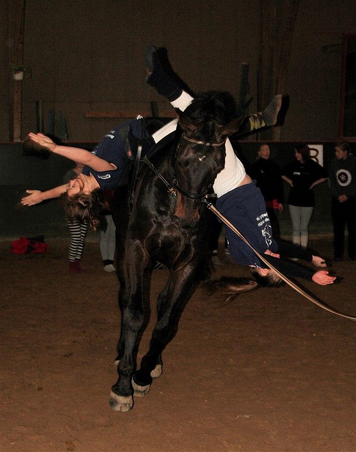 Anden særlig race Brøderups Brimer billede 14