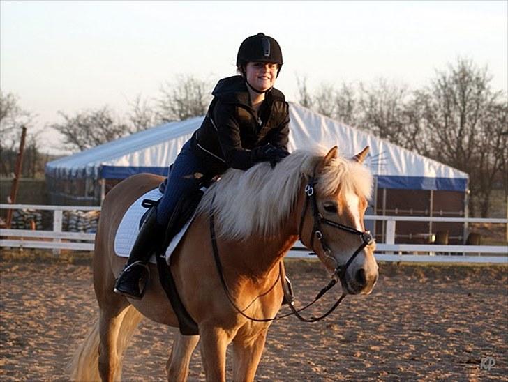 Haflinger Cirkeline<3 Solgt ): billede 9