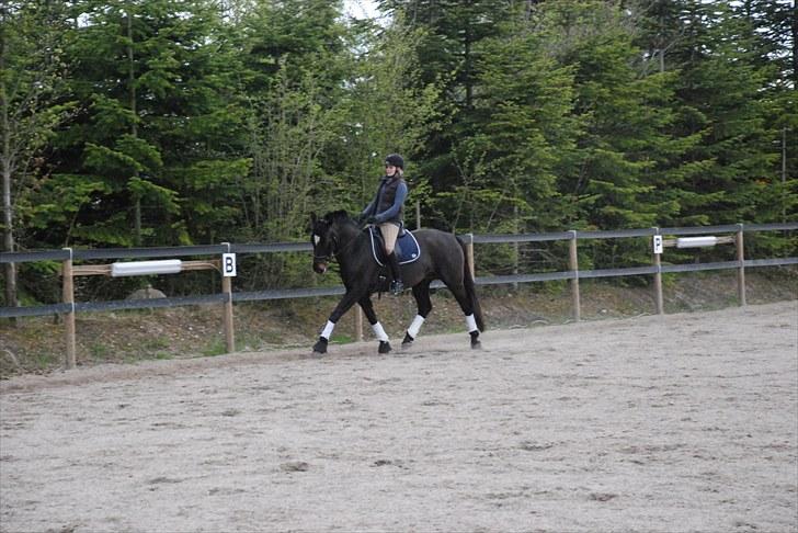 Oldenborg Salina billede 19