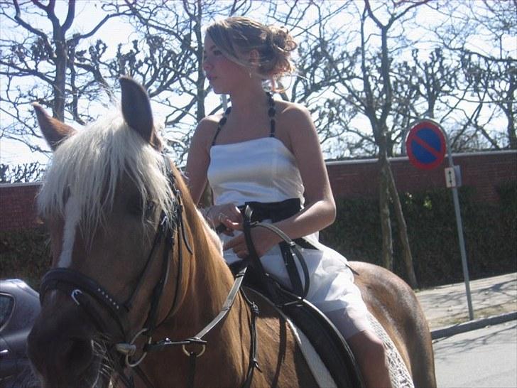 Haflinger Julle Lady Madonna <3 - JULLE KOM TIL MIN KONFIRMATION (´:<3 den bedste konfi, nogen sinde!<3 Den var perfekt :* billede 4