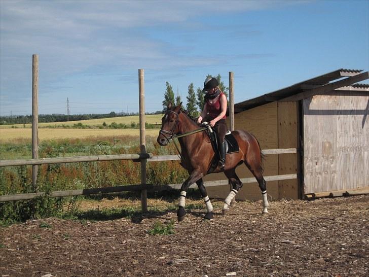 Traver König min skat :) billede 4