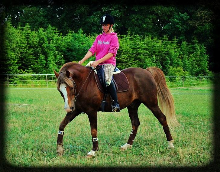 DSP Rolighedens Picasso  - Picasso & min datter, Anna-Sophie billede 7