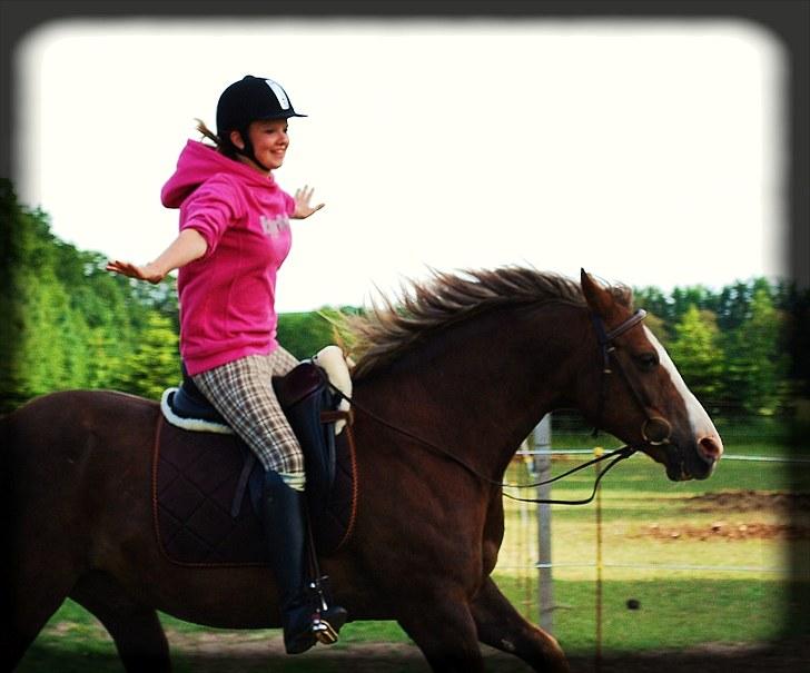 DSP Rolighedens Picasso  - Picasso & min datter, Anna-Sophie billede 11