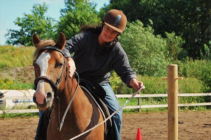 DSP Rolighedens Picasso  - Tine & Picasso i Trail billede 17