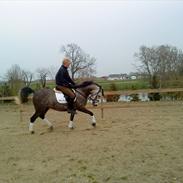 Anden særlig race Shadow <3 solgt