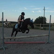 DSP Lisse <3 