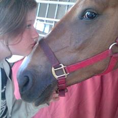 DSP Moon Star M *Savnet*