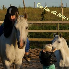 Anden særlig race Gulnare "Gulli"