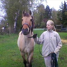 Anden særlig race prins gammel lånepony