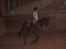 Traver Nesmil - galop