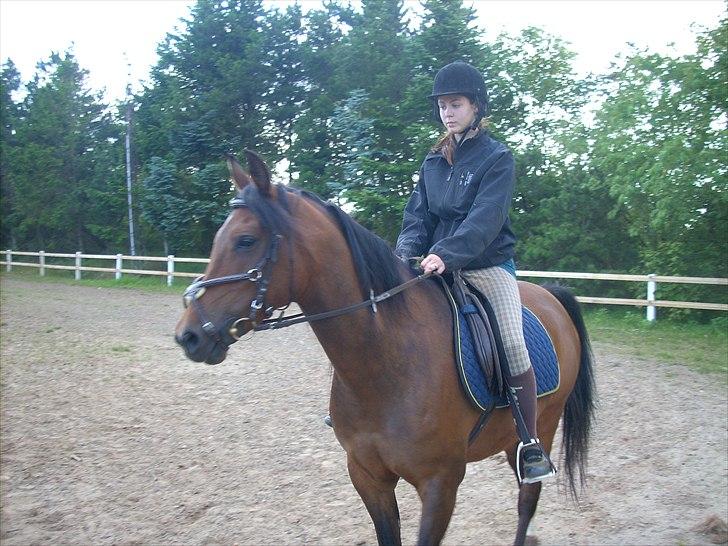 Anden særlig race sebastian - vi er ikke perfekte, men vi hygger os:) billede 10