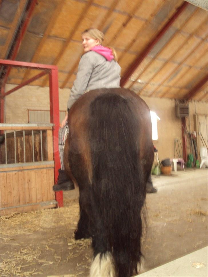 Tinker Holms Skye dancer -tideliger passer- - Når enden er god er alting godt<3-billed taget af Phillis billede 20