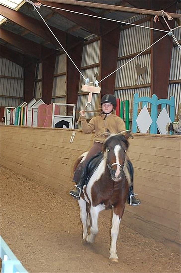 Anden særlig race Hidalgo - Mathilde og Hidalgo rider ringridning billede 8