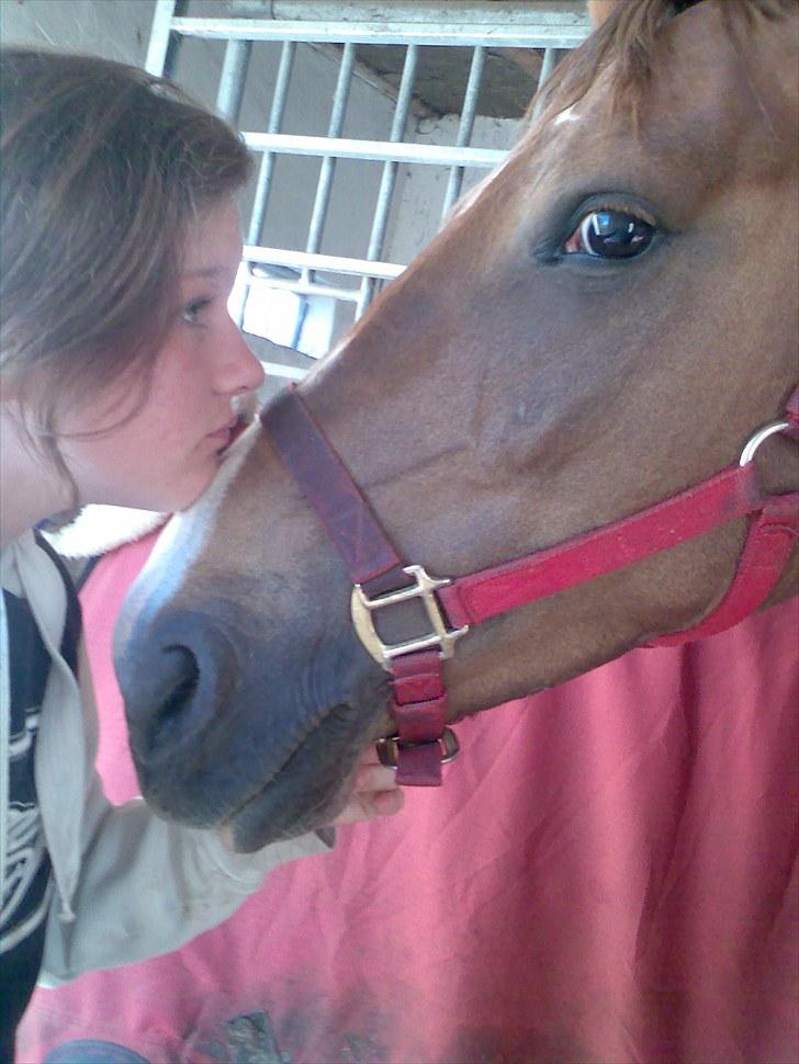 DSP Moon Star M *Savnet* billede 3