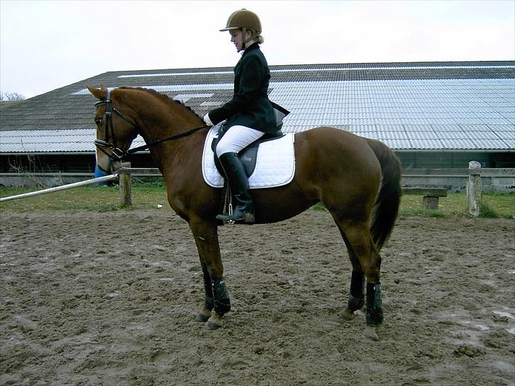 DSP Moon Star M *Savnet* billede 6