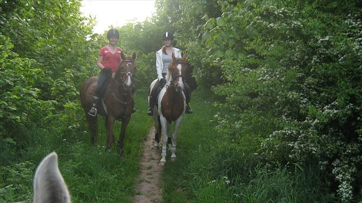 DSP Moon Star M *Savnet* billede 9