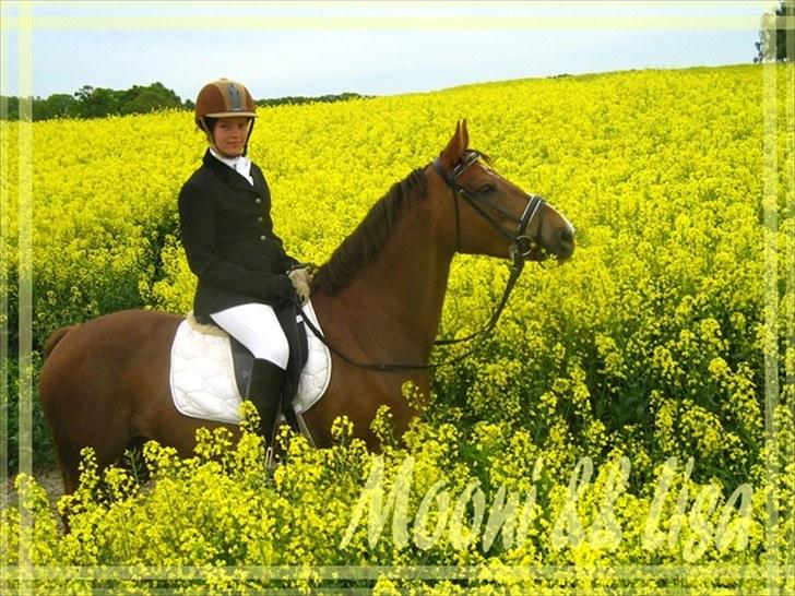 DSP Moon Star M *Savnet* billede 10